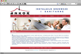 Website type Businesscard